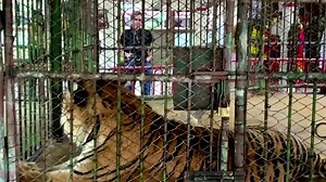 Award-winning investigative journalist Mariana van Zeller explores the most dangerous black markets around the world in her new National Geographic show 'Trafficked' | Reuters