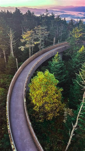 Under Canvas® on Instagram: "🌄 Ever hiked above the clouds in Tennessee? Just 45 minutes from Under Canvas Great Smoky Mountains, Kuwohi Observation Tower Trail (previously known as Clingmans Dome) is perfect for the whole family: 🌄 360° mountain views 🌍 The highest point in Tennessee 🥾 1.3-mile round-trip hike ✨ Save this post for your next Smoky Mountains adventure… and tag the crew who needs to see this view!"