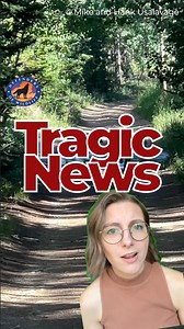 Tragic news! Colorado Parks and Wildlife is removing the Copper Creek Wolf Pack from the wild, the first breeding pair and litter from the 2023 gray wolf reintroduction. Capturing and relocating an entire wolf pack poses serious risks to the wolves, particularly for these adorable pups who are less than six months old. | Defenders of Wildlife