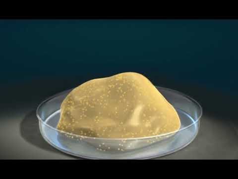 Animated Biomedical - 3d animation services