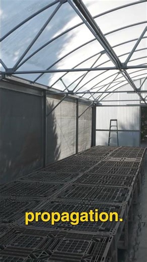 Never Thought I'd Finish This Greenhouse... #gardening #permaculture #growingfood