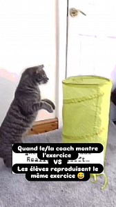 29K reactions · 4.3K shares | BAB Urban Training on Reels | Facebook