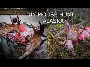 DIY Alaska Moose Hunt