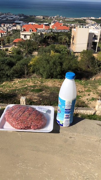 Exploring the Average Lebanese Experience