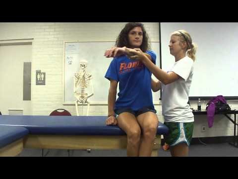 Cross Body Adduction Stress Test