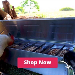 16K views | Backyard Chicken Coops on Reels | Facebook