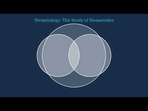 Branches of Microbiology Explained