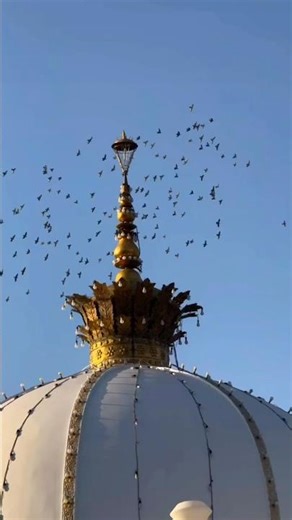 Dil ke har dag ko ik phool bna do khwaja….!