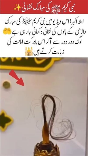 A Blessed Relic of the Prophet ﷺ 🕌✨#shorts #youtubeshorts #islamicreminder#islamicvideo #foryou#duet