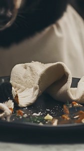 37 reactions | Lemonade Pet Insurance can help you save up to 90% on vet bills for when your pet gets a taste of the "finer" things. | Lemonade | Facebook