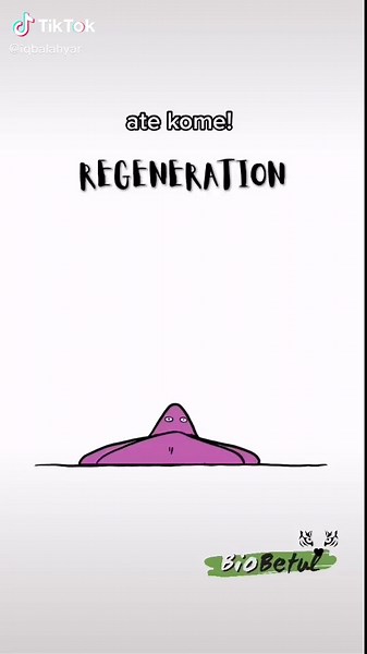 Understanding How Starfish Reproduce Through Regeneration