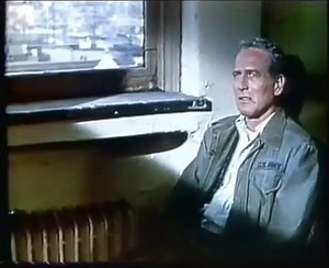 Fort Apache the Bronx (1981)