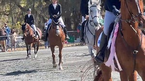 Sharp Decision (owned by Susan Day) in the CCI 3* Short division at the 2022 Red Hills International Horse Trials in Tallahassee, FL. STORE: https://store.wallaceeventing.com MY FAVORITE THINGS: https://wallaceeventing.com/favorites​​​ INSTAGRAM: https://www.instagram.com/WallaceEventing TWITTER: https://www.twitter.com/WallaceEventing #Eventing #Horse #Equestrian | Elisa Wallace Eventing