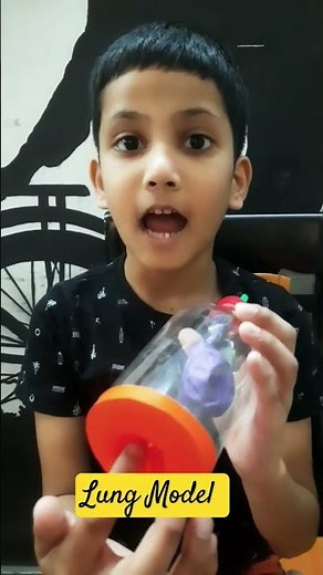 Lung model with 2 balloons, one bottle, and a straw...#science #lungfunction #humanbody