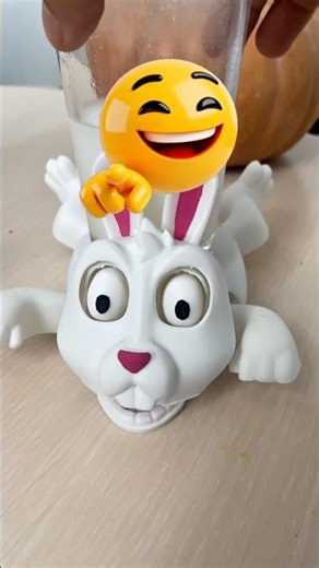 rabbit coaster#sorts #funny #cute #rabbit