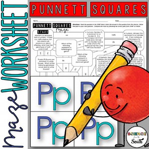 Punnett Squares Maze Worksheet Activity in Print & Digital with Differentiation