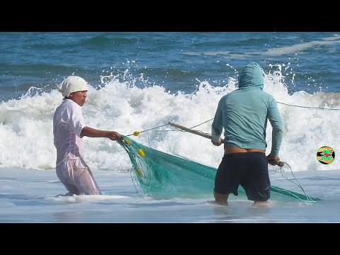PESCA CON RED DE ARRASTRE EN EL MAR - Pesca con Chinchorro - sea fishing