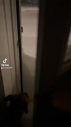 Bushwhacked (@bushwhacked06)’s videos with original sound - Bushwhacked