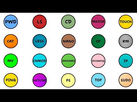 20 Kali Linux Commands Every Beginner Hacker Must Know
