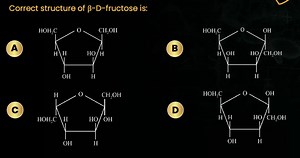 Correct structure of \beta-D-fructose is: (Options A, B, C, D s... | Filo