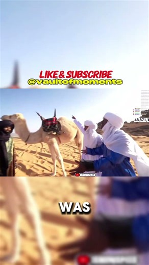 Camel was slow #shorts #speed