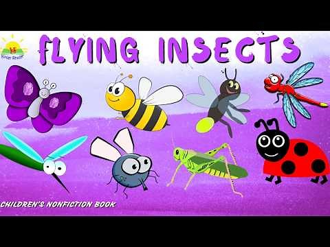 9 Flying Insects, Insects name, insects video, Insects book, children learning video, #14