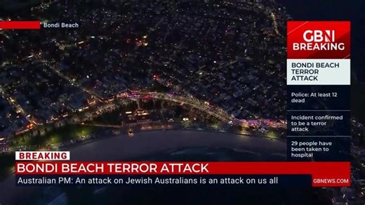 The Bondi Beach massacre was not just about antisemitism. We are all facing a medieval hatred - Bev Turner