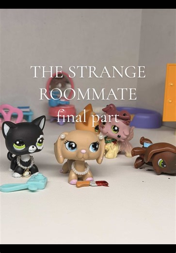 The Strange Roommate Skit Final Part