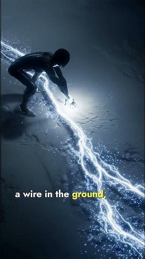 Why Birds Don’t Get Electrocuted on Power Lines