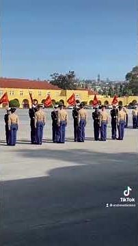 Marine Corps Bootcamp Graduation at MCRD San Diego 🇺🇸🌴 #usmc #bootcamp #marines #graduation