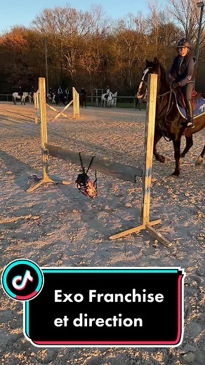 Horse Jumping Technique: Overcoming Obstacles