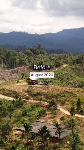 Good News Movement on Instagram: "@Ecosia has planted over 200 million trees!!!! 🌳 👏 Watch how they've dramatically transformed landscapes from Brazil to Indonesia. They plant trees in over 30 countries when you use their free search engine. LINK IN BIO to install. #ad"