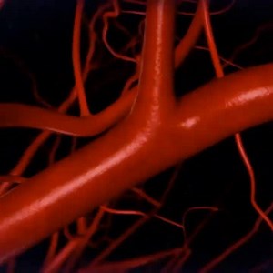 14K views · 89 reactions | Amino acids are chemical messengers that aid communication between the cells, tissues and organs. Proteins are amino acids. They are essential for the body to function properly. #ProteinChallengeNG #protein #AminoAcid | Right To Protein Nigeria | Facebook