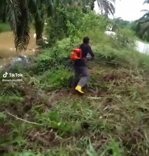 Leaf Blowing Techniques for Outdoor Maintenance