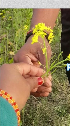 🥰🥰🥰🫵🫵🫵🫵💔💔💔💔🥀🥀🥀🥀🥲🥲