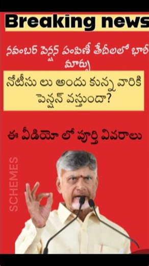 ఆంధ్రప్రదేశ్ నవంబర్ పెన్షన్ తాజా అప్‌డేట్ 2025 | పెన్షన్ పంపిణీ తేదీలు మార్పు| #pensionlatestnews