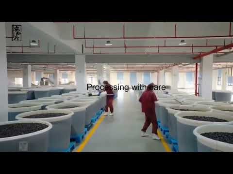 The Journey to Quality Food Products | Nong Zhifu Food