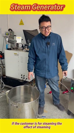 Steam generator is easy to use and can be turned on to produce steam by connecting water&electricity