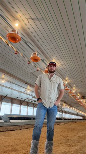 🐔 Gilchrist Farm – Northern Calhoun County, AL This two-house breeder farm sits near Anniston and Gadsden and grows for Koch Foods (Fair Knoll Hatchery). Built in 2018, the 40x400 houses feature modern Big Dutchman and ChoreTime equipment, with city water, a well, and room to add additional houses. The farm offers $170K–$185K in annual income, plus beautiful creek-side bottom land along Ohatchee Creek with multiple potential homesites. A great opportunity for expansion or a scenic farm investme