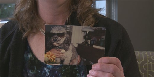 25 years of emergency medical care for pets and financial assistance for their owners