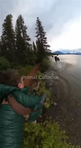 Wild Pig Charges Man in Jungle Clearing | Shaky Phone POV Close Call