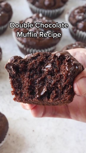 Delicious Double Chocolate Muffins Recipe