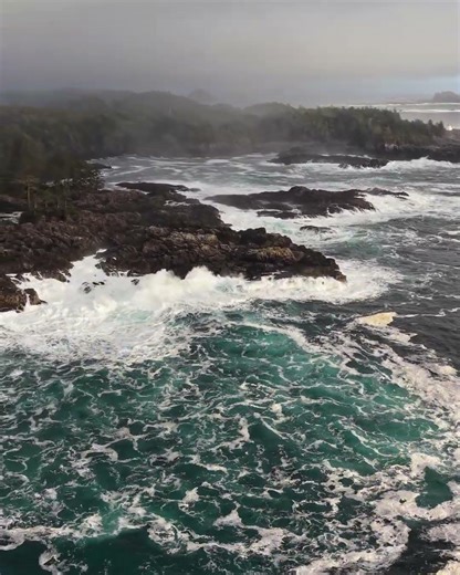 Grey sky, dark forest, black rocks and the many colours of the Pacific Ucluelet, Vancouver Island