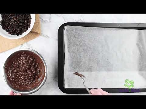 How to Make Chocolate Covered Coffee Beans
