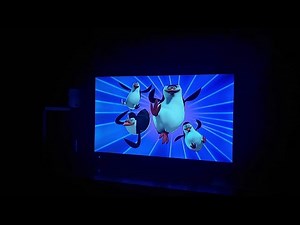 Opening Of Go, Diego, Go: The Great Panda Adventure DVD From 2010