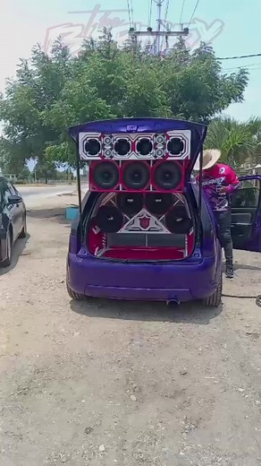 TheBarneyCar on TikTok