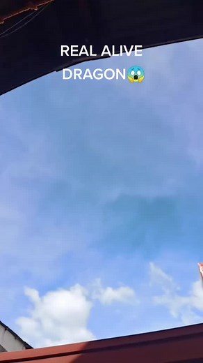 Real Alive Dragon - Unbelievable Creature in Action