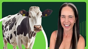 Working on these 7 phrasal verbs will be a ton of fun! They all have one thing in common. Wait, you already know what it is?...awww RATS! Free course: Top 3 ways to Master the American Accent https://RachelsEnglish.com/free AMAZING tips to sound more natural speaking English | Rachel's English