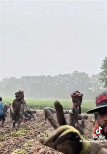 Snow Tha Product: No Traigo Nada Insights