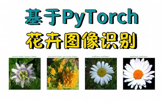 吹爆！这可能是公认最适合初学者入门的花卉图像识别模型实战教程，基于PyTorch框架搭建CNN模型，看完毕设还不会来打我！人工智能|深度学习|神经网络